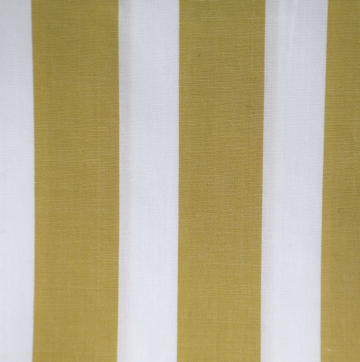 bamboo yellow stripes