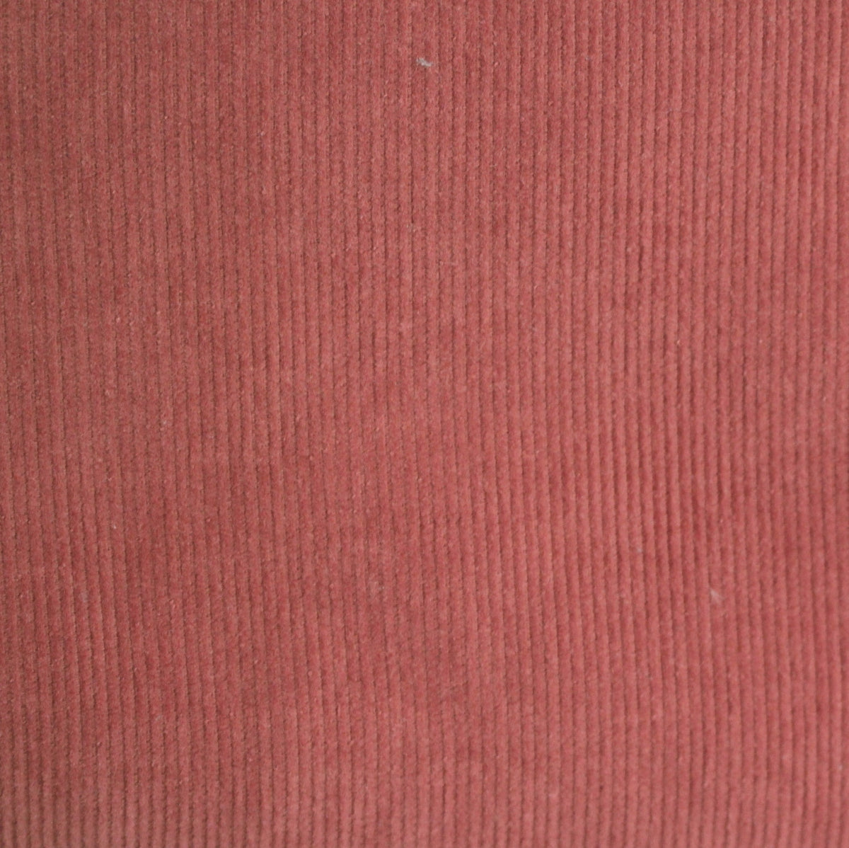 Edelcord fine marsala