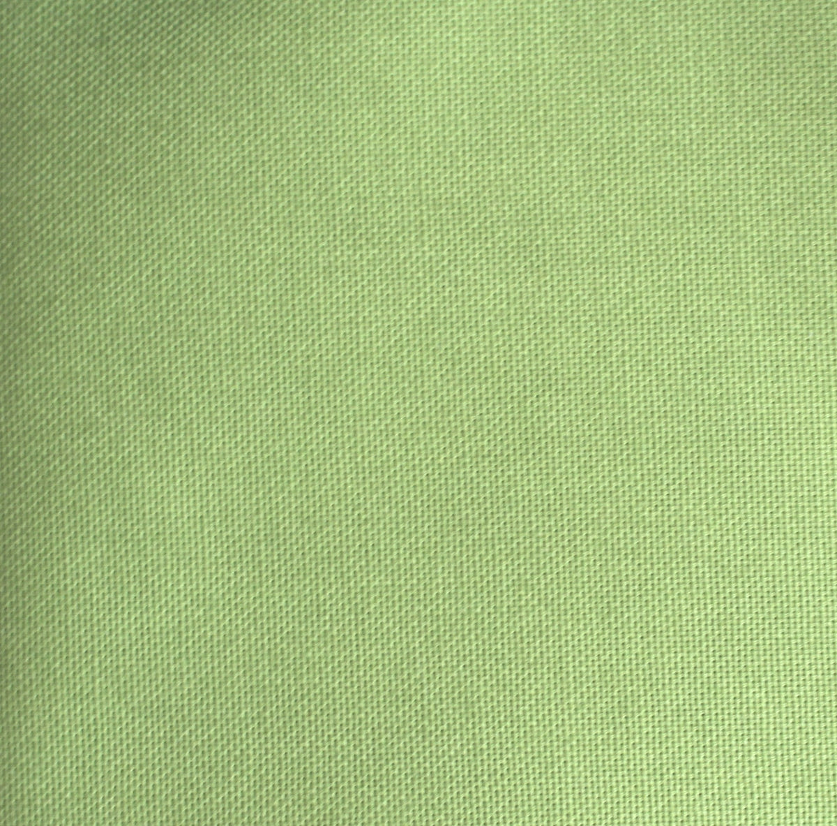 apple green canvas