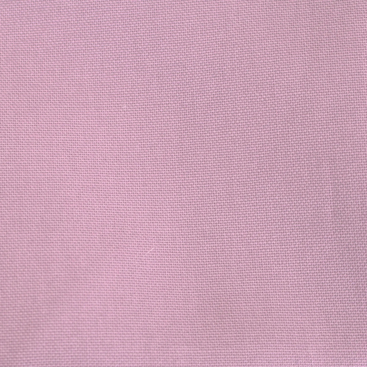 mauve canvas